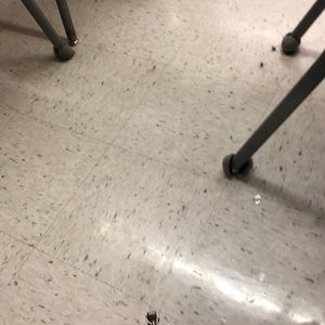 Meet your Posher, Lacy